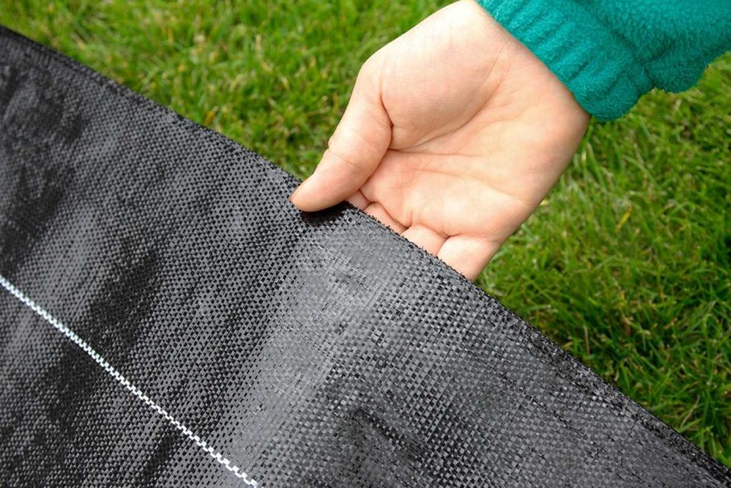 Агротекстиль: свойства, производство и применение Агротекстиль: свойства, производство и применение